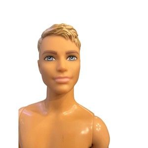 2017 Barbie Beach Day Ken Doll FJF09 Tan Nude